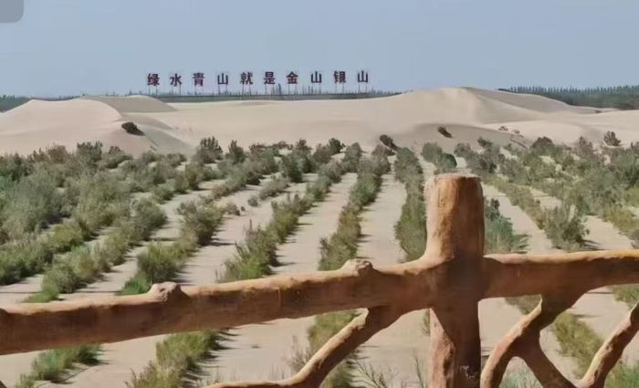 ഺɳGƌW(xu)cg(sh)W(xu)Ժl(xing)(sh)`F(tun)̽wᡰB(ti)f(xi)ͬl(f)չ֮· оɳGB(ti)\ B(ti)(sh)`F(tun)