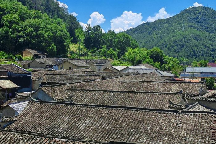 ��ǧ���뻨����һ��(m��ng)��ʯ�֡��������ƺͿhʯ�ִ塰�^�c(di��n)�����(du��)����(sh��)�`�F(tu��n)�(du��)